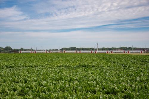 M5 rijtuigen, getrokken door een loc van het type 27, te Adinkerke.